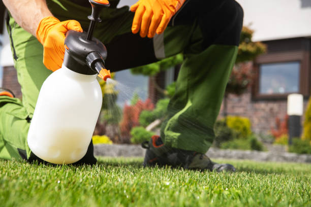 Best Rat Extermination Near Me  in Hazlehurst, MS