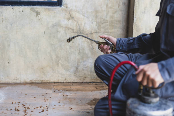 Wasp Removal Services in Hazlehurst, MS