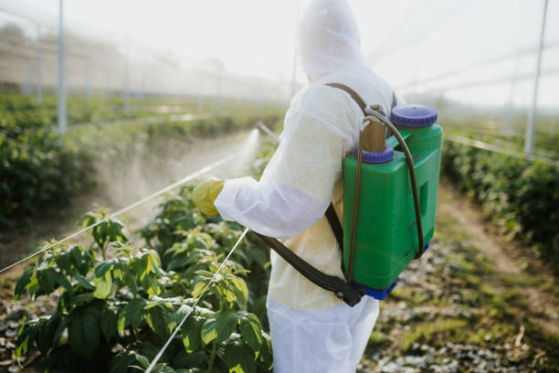Best Pest Prevention Services  in Hazlehurst, MS